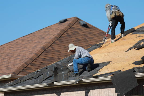 Best Metal Roofing Installation  in , SD
