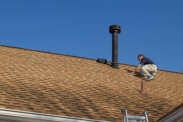 Best Roof Maintenance and Cleaning  in , SD